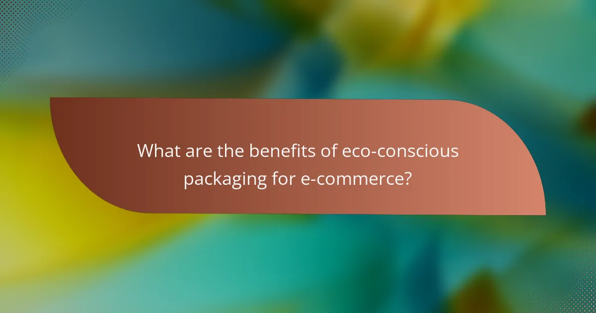 What are the benefits of eco-conscious packaging for e-commerce?