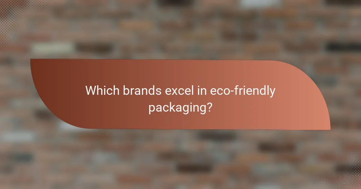 Which brands excel in eco-friendly packaging?