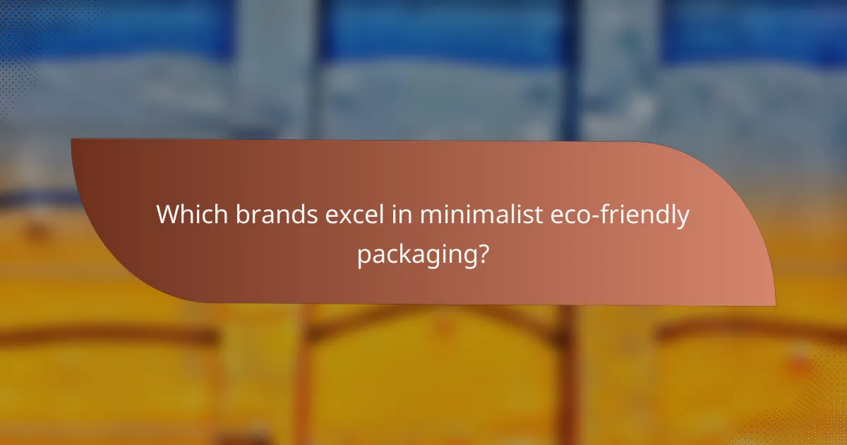 Which brands excel in minimalist eco-friendly packaging?